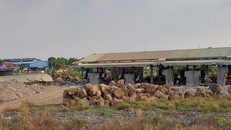 Xương cắt đá của ông K. với 6 máy cắt công suất lớn