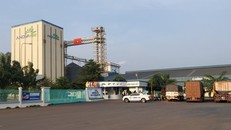 Tất cả bảo vệ trong ca trực ngày 18/4 tại Công ty ANOVA đều dương tính với ma tuý.