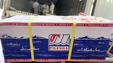 Thứ trưởng Phùng Đức Tiến chỉ đạo xử lý vụ lô hàng ghi “Best Before Date” chưa được thông quan.