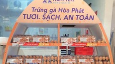Hệ thống Vinmart và hầu hết các siêu thị tại Hà Nội được phủ sóng trứng gà sạch của Hòa Phát