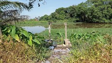 Một góc công trình đề án đê bao bờ hữu sông Sài Gòn. 