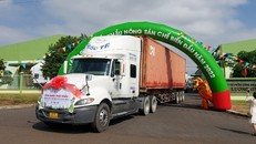 6 chuyến xe container xuất phát. 