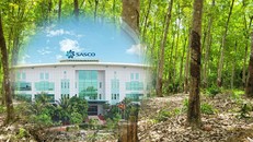 Dự án trồng cây trên đất rừng của Sasco. 