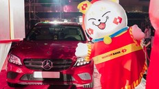 Mèo Đại Cát xuất hiện với giải thưởng lên tới 100 tỷ đồng