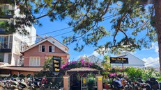 Giữa lòng phố núi, nhớ hoài món chay 