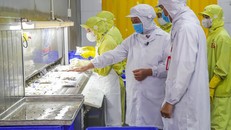 Hơn 60.000 tỷ đồng từ Agribank nhằm triển khai nhiều chương trình tín dụng 