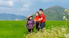 Bộ Nông nghiệp và Phát triển nông thôn - Agribank ký kết Bản ghi nhớ cung ứng sản phẩm dịch vụ 