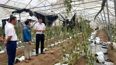 Agribank giảm tới 2%/năm lãi suất cho vay hỗ trợ khách hàng bị thiệt hại do bão số 3 