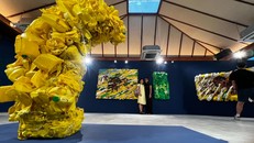 “Nghệ thuật tái sinh” từ “Loài phế liệu” 