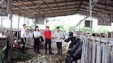 Agribank ưu đãi lãi vay đối với khách hàng bị thiệt hại do bão số 3 và lũ lụt sau bão.