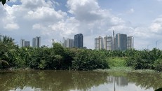 Nằm giữa những dự án hiện đại là rừng cây, ao cá của Khu liên hợp TDTT Rạch Chiếc.