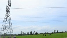 Để đáp ứng tiến độ trong 3 tháng cuối năm đưa vào vận hành 46 công trình lưới điện 110kV, từ tháng 10/2024 đến nay, trên các công trình lưới điện 110kV tại khu vực miền Nam gần như không có ngày nghỉ cuối tuần.