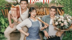 Phim Nụ hôn bạc tỷ được đánh giá tốt nhưng doanh thu lại không dẫn đầu