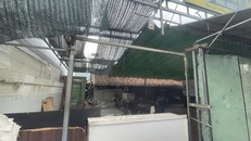 Một góc khuôn viên di tích nhà Vương Hồng Sển đã được tháo dỡ công trình xây dựng trái phép. Ảnh chụp sáng 17/3/2025