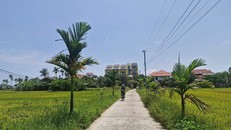 Xóm Mồ Côi - Cái nôi cách mạng phố Hội