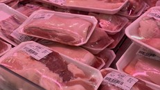 Công ty Chăn nuôi CP Việt Nam và Bách Hoá Xanh hợp tác từ năm 2024.