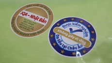 Trên phẩm tã mang thương hiệu molflix có in dòng chữ “Được kiểm nghiệm da liễu tại châu Âu - Không gây dị ứng”. Ảnh: Lê Xuân Thọ