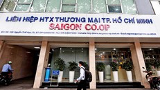 Saigon Co.op cùng liên danh King Green bị Cục C10 cấm tham gia đấu thầu 3 năm. Ảnh: Baodautu