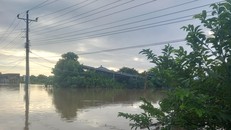 Lâm Đồng: Hồ Sông Quao xả lũ, người dân yêu cầu bồi thường thiệt hại vì ngập lụt