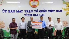 Công ty cổ phần thực phẩm dinh dưỡng Nutifood trao ủng hộ 10 tỉ đồng cho người dân thiệt hại do bão số 13 tại Gia Lai thông qua Ủy ban Mặt trận Tổ quốc Việt Nam tỉnh 