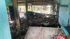 Một ngôi nhà bị sập ở thôn Phú Lương, xã Hòa Tân Đông, Phú Yên (cũ)