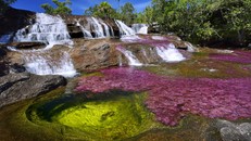 Vẻ đẹp của 'dòng sông ngũ sắc' có gì độc đáo?