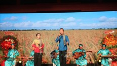 Tiết mục biểu diễn của Ban đờn ca tài tử tỉnh Long An. Ảnh (tư liệu): Đức Hạnh/TTXVN.