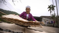 Bà Hoàng Thị Chi xóm Suối Cỏ, tham gia làm giấy Dó cùng gia đình ông Chúc cũng đã gần 20 năm, cẩn thật lật phơi những tờ giấy Dó thành phẩm.