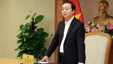 Phó Thủ tướng Chính phủ Trần Hồng Hà.