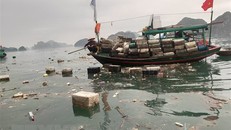 Vịnh Hạ Long ngập rác thải trên mặt biển. Ảnh: TTXVN