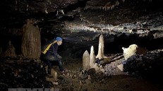 ác hang động mới phát hiện tại Quảng Bình. Ảnh: TTXVN.
