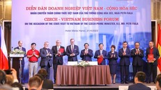Thủ tướng Phạm Minh Chính và Thủ tướng Cộng hòa Czech chứng kiến lễ ký kết hợp tác giữa cơ quan, doanh nghiệp hai nước. Ảnh: VGP.