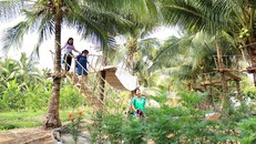 Du khách tham qua Khu du lịch Chợ Nổi Trà Ôn, huyện Trà Ôn, tỉnh Vĩnh Long. Ảnh: Lê Thúy Hằng/TTXVN.