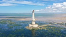 Bạn biết gì về ‘vua của những ngọn hải đăng’?