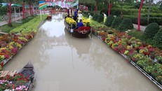 Khu du lịch cánh đồng hoa hồng ở phường Tân Quy Đông, thành phố Sa Đéc ( Đồng Tháp).