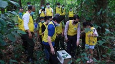 Ông Nguyễn Văn Chính (đứng ngoài cùng bên trái), Giám đốc Vườn Quốc gia Cúc Phương, dẫn đoàn tham gia hoạt động thả động vật về rừng.