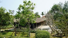 Khai mạc Lễ hội làng Dương Nỗ - Hành trình tháng Năm nhớ Bác