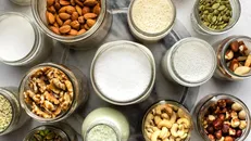 Sữa hạt đang ngày càng được ưa chuộng trên toàn thế giới.