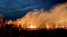 Canada mong mưa "hạ nhiệt" nhằm kiểm soát cháy rừng