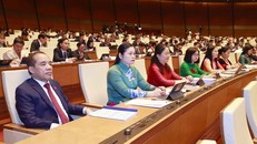 Đại biểu Quốc hội tham dự phiên họp.