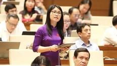 Đại biểu Quốc hội tỉnh Hải Dương Đinh Thị Ngọc Dung phát biểu. Ảnh: Phương Hoa/TTXVN.