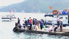 Thả các cá giống, hải sâm cát xuống biển vịnh Nha Trang. Ảnh: Tiên Minh/TTXVN.