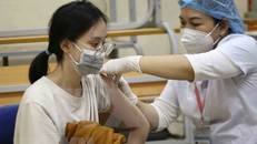 [Infographics] COVID-19 sắp được xem là bệnh thông thường tại Việt Nam