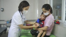 Người lớn cũng cần thực hiện phòng bệnh tay chân miệng tránh lây lan cho trẻ nhỏ. Ảnh: TTXVN.