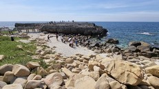 Vẻ đẹp hoang sơ của bãi san hô cổ Hang Rái thuộc Khu dự trữ sinh quyển Núi Chúa. Ảnh: Nguyễn Thành/TTXVN.