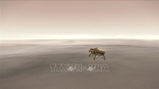 Tàu đổ bộ InSight chuẩn bị hạ cánh xuống bề mặt Sao Hỏa, tháng 11/2018.