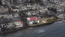 'Ngôi nhà thần kỳ' sống sót giữa thảm hoạ cháy rừng Hawaii