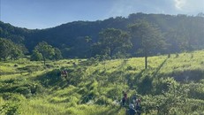 Du khách khám phá hệ sinh thái rừng tại Vườn quốc gia Núi Chúa, tỉnh Ninh Thuận. Ảnh: TTXVN.