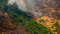 Hành tinh sắp vượt ngưỡng chịu đựng