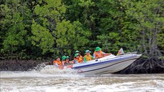 Du khách trải nghiệm du lịch xuyên rừng Mũi Cà Mau.